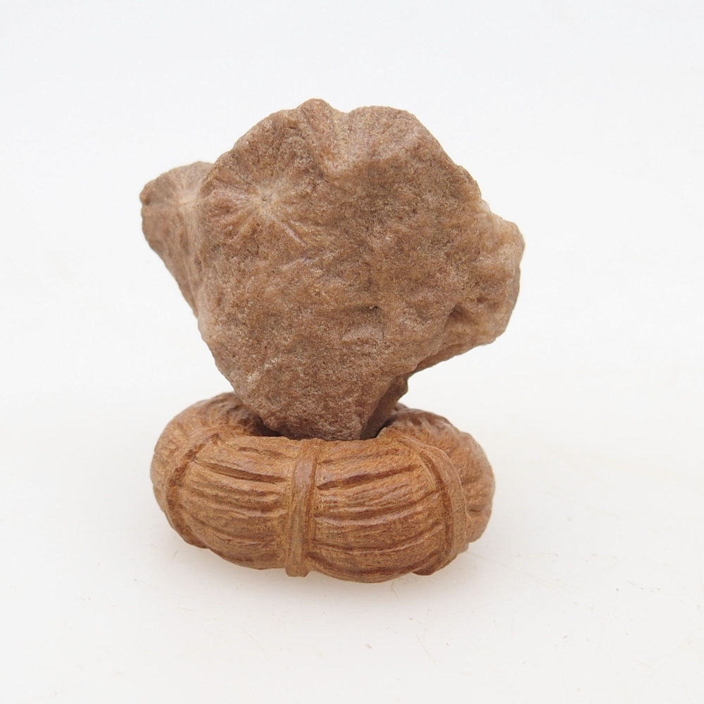 Suiseki - Pietra con DAI (base in legno)