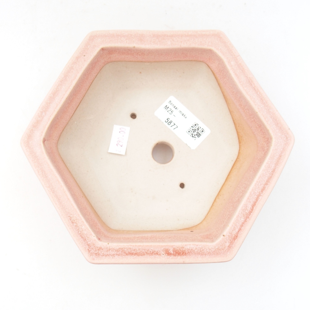 Ciotola bonsai in ceramica 22 x 17 x 5 cm, verde