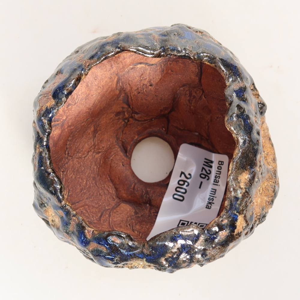 Guscio in ceramica  7 x 7 x 5,5 cm, colore blu-marrone