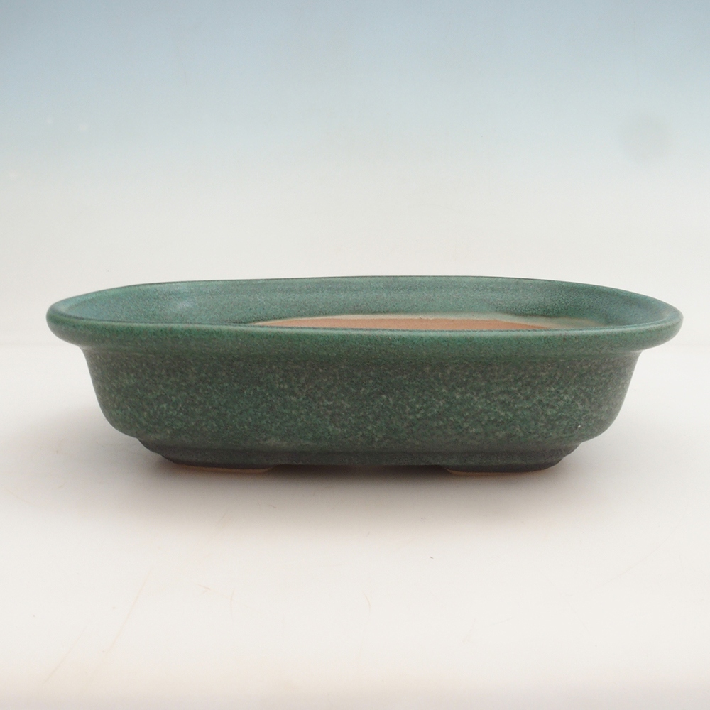 Ciotola per bonsai H25 - 23 x 17 x 5,5 cm - verde