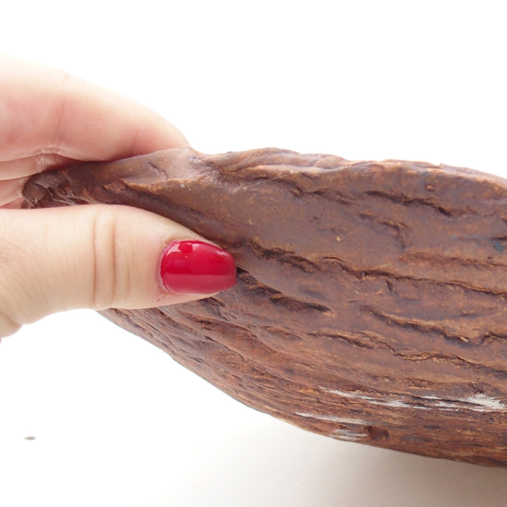 Conchiglia in ceramica 28 x 20 x 5 cm , colore marrone