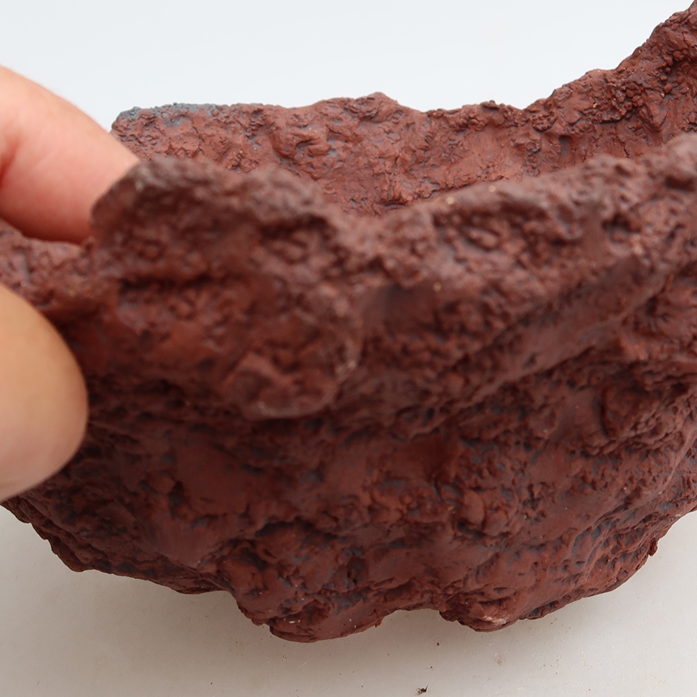 Guscio in ceramica 20 x 17 x 12,5 cm, colore marrone