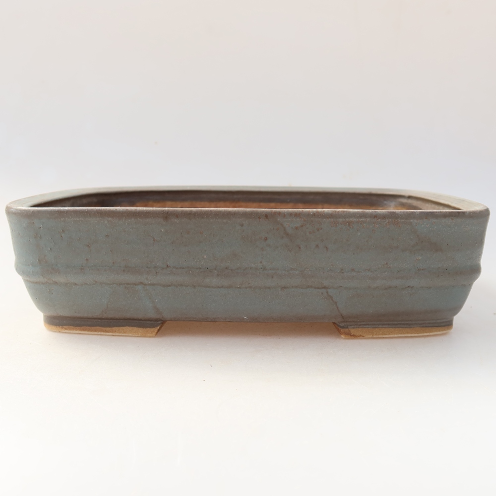 Vaso in ceramica per bonsai 22,5 x 18 x 6 cm, colore blu