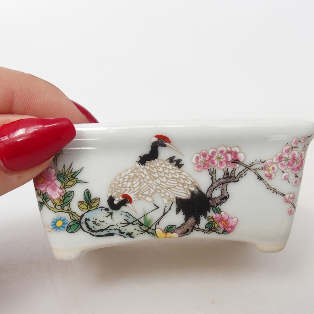 Mini bonsai 8 x 6,5 x 3,5 cm, bianco