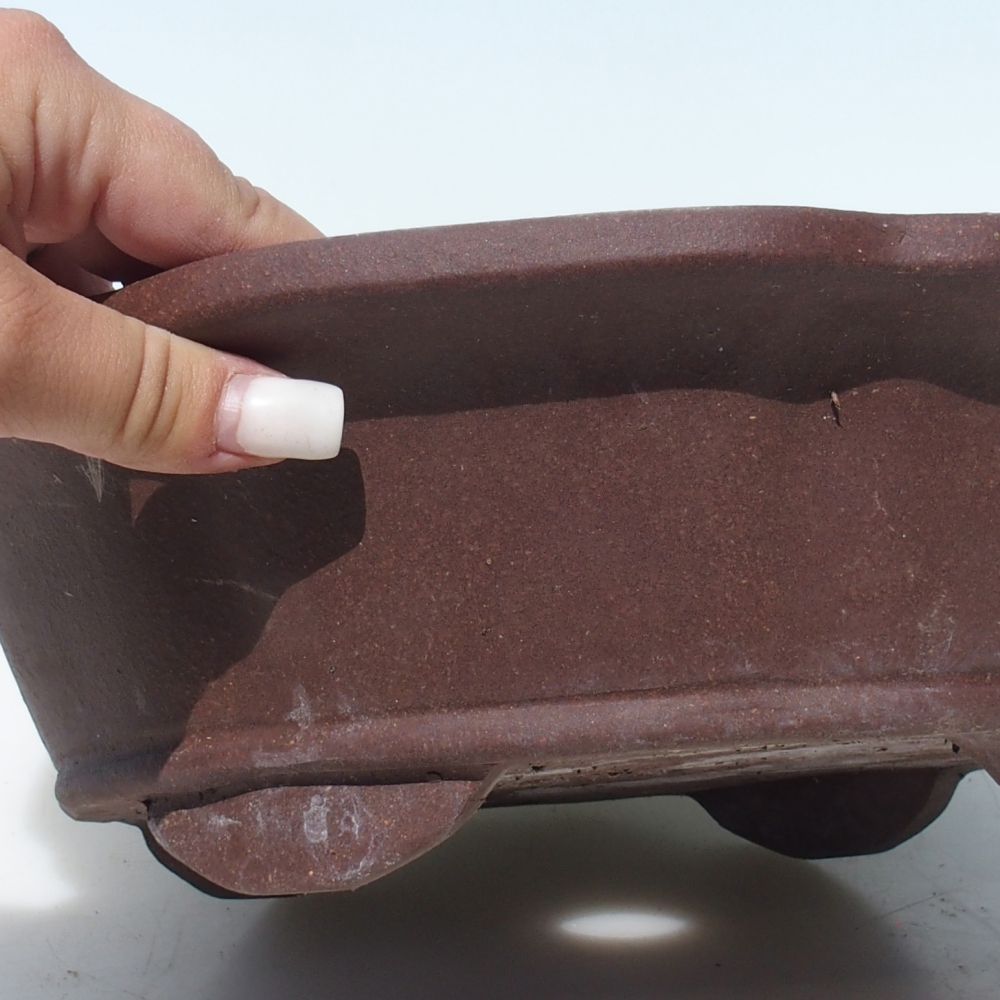 Ciotola per bonsai 30 x 30 x 9 cm betulla marrone