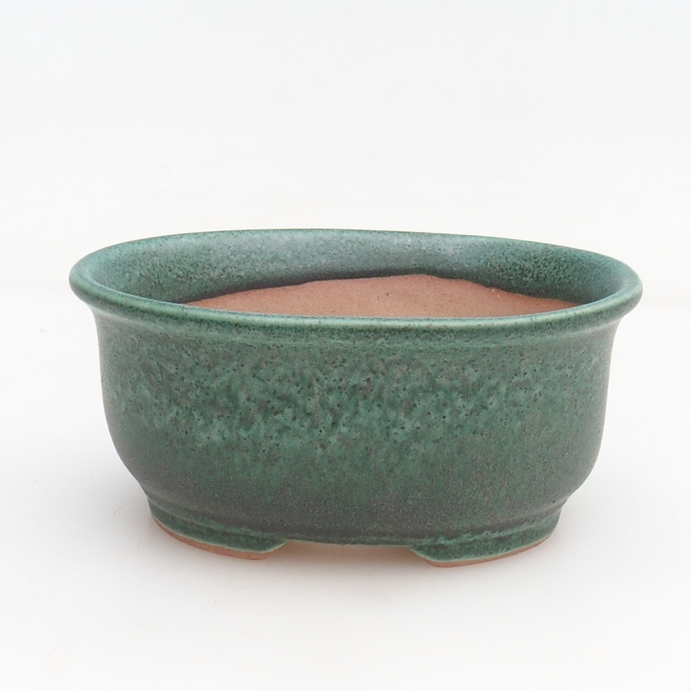 Ciotola bonsai + piattino H11 - 11,5 x 10 x 4 cm - verde