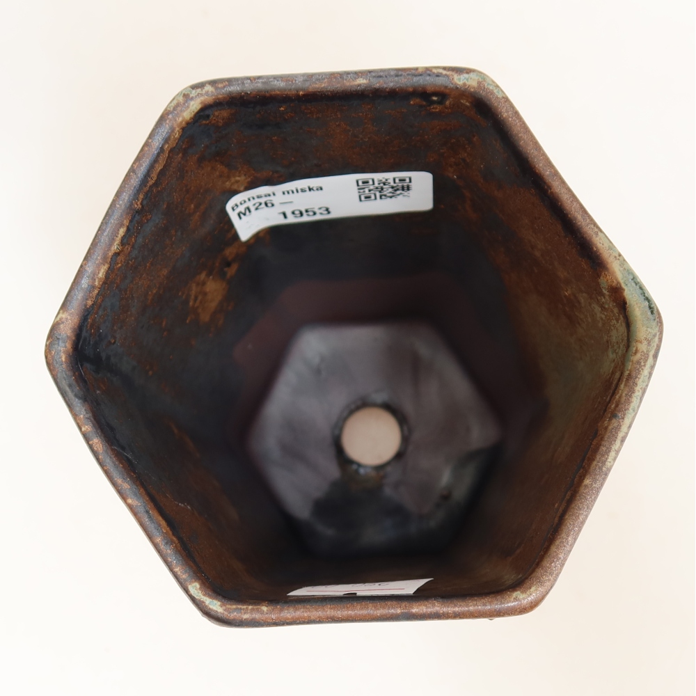 Vaso da bonsai in ceramica 9,5 x 8,5 x 14 cm, colore marrone