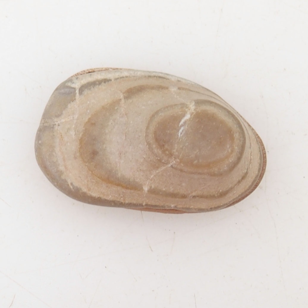 Suiseki - Pietra con DAI (base in legno)