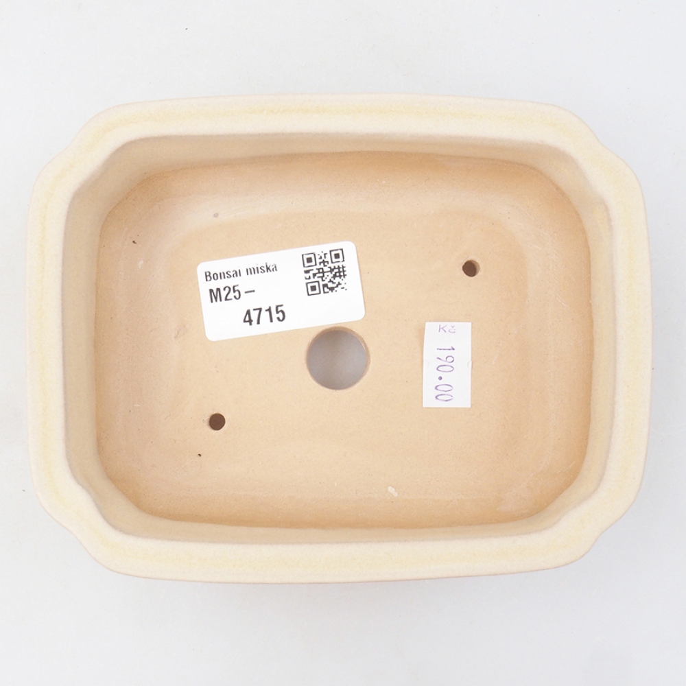 Ciotola bonsai in ceramica 14 x 11 x 4 cm, colore beige
