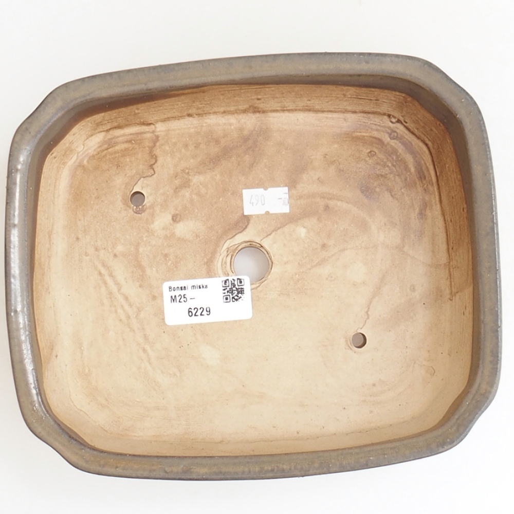 Ciotola per bonsai in ceramica 21 x 18 x 6 cm, marrone