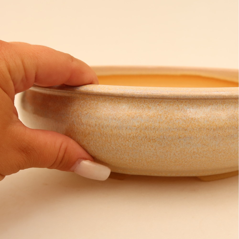 Vaso da bonsai in ceramica 23 x 23 x 6,5 cm, colore beige