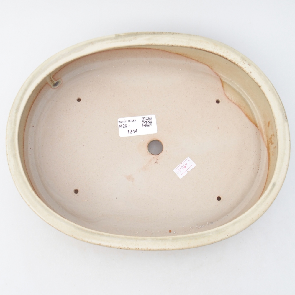 Ciotola bonsai in ceramica 27 x 21 x 5,5 cm, colore beige