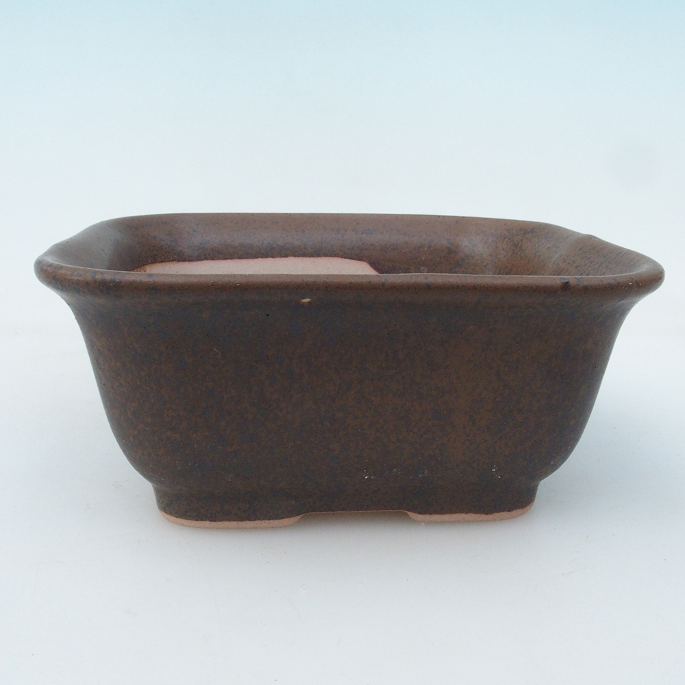 Ciotola bonsai + piattino H38 - 12x10x5,5 cm - marrone