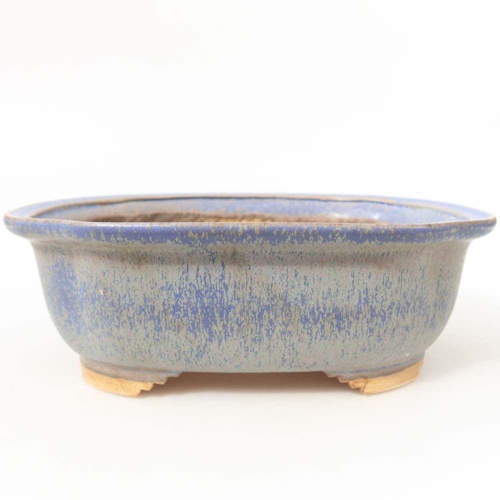 Vaso da bonsai in ceramica 20,5 x 16,5 x 7 cm, colore blu