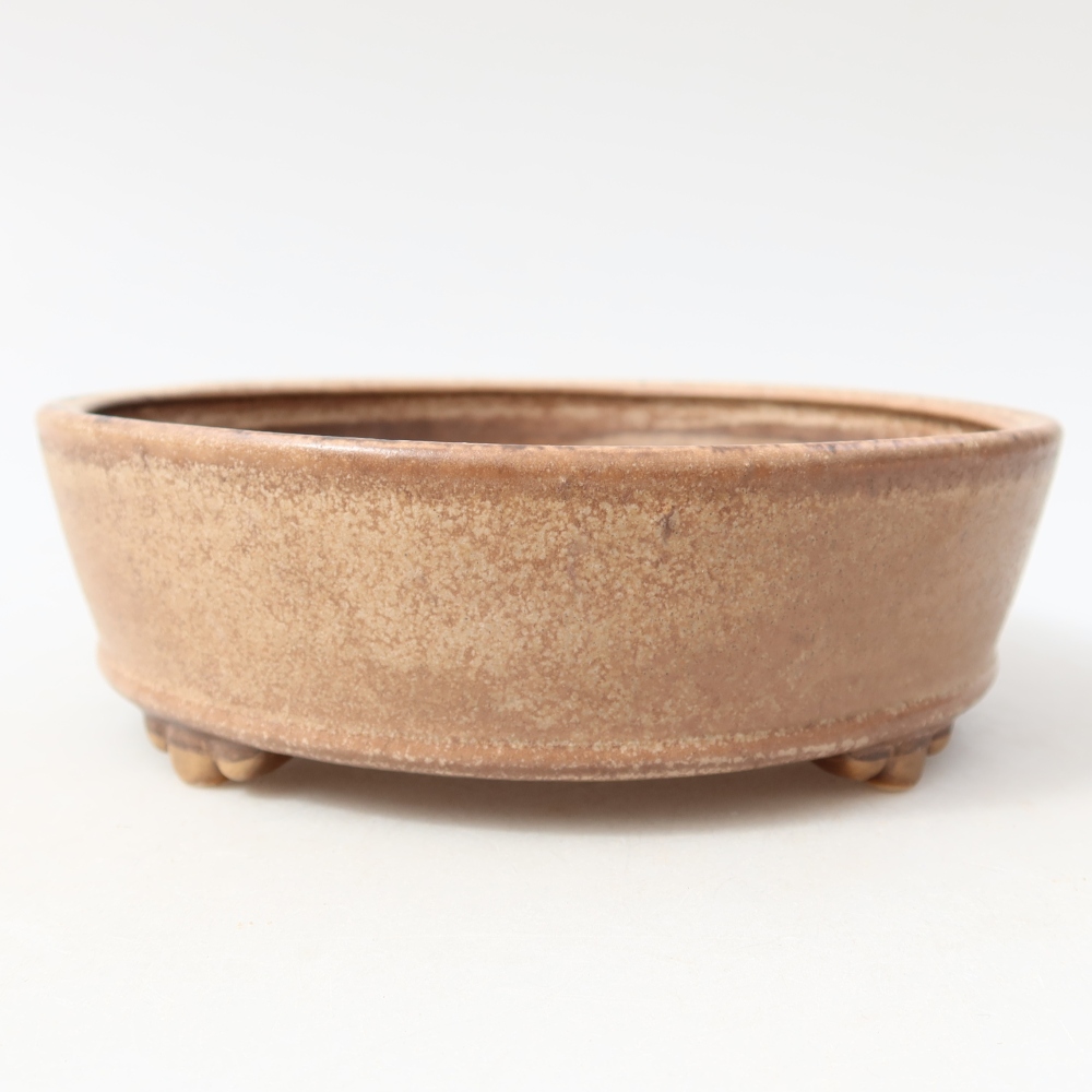 Ciotola per bonsai in ceramica 15,5 x 15,5 x 5 cm, rosa