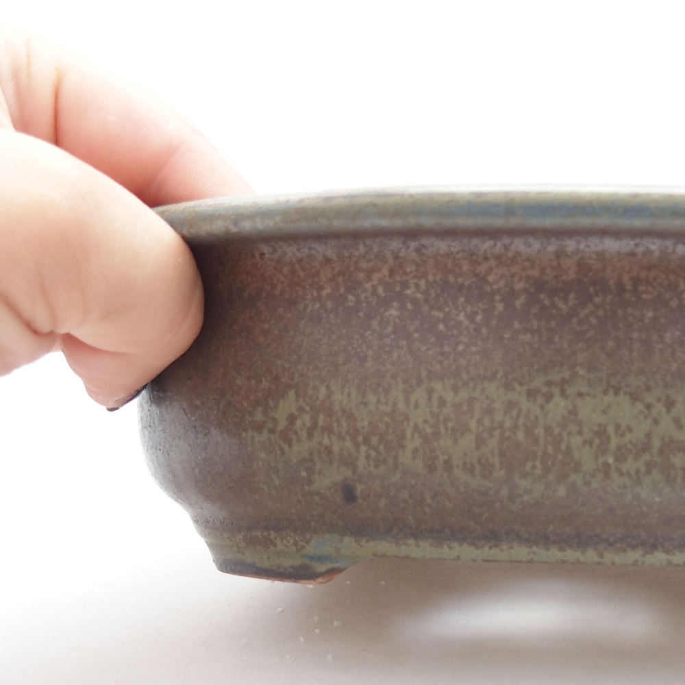 Ciotola bonsai in ceramica 22 x 17 x 5 cm, verde