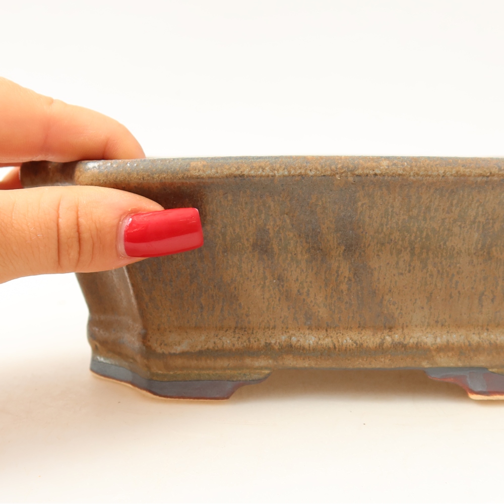 Vaso in ceramica per bonsai 18 x 15,5 x 6 cm, colore marrone