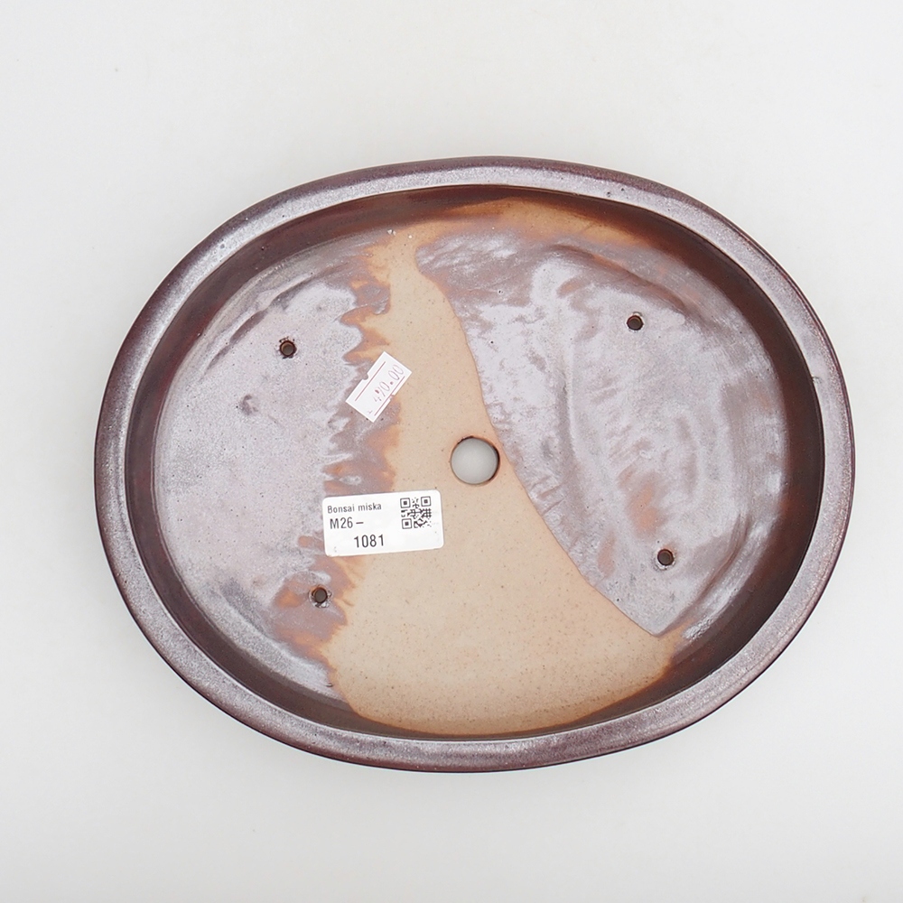 Ciotola bonsai in ceramica 24 x 19,5 x 4 cm, bordeaux