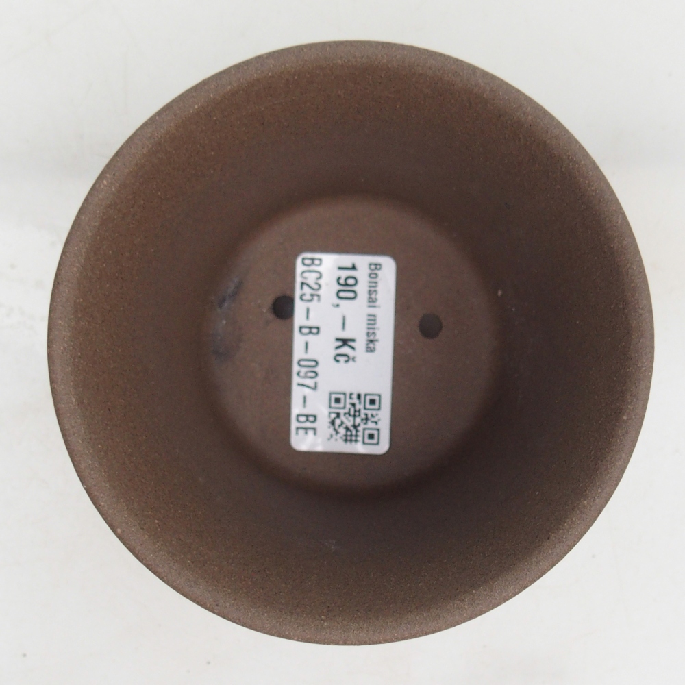 Ciotola bonsai in ceramica 9,5 x 9,51 x 6,5 cm, colore beige