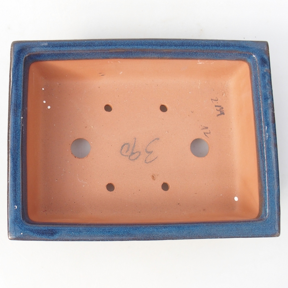 Ciotola 21,5 x 26,5 x 4 cm colore blu