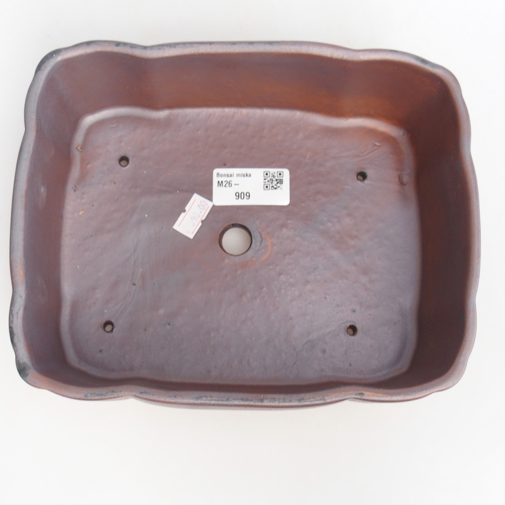 Ciotola bonsai in ceramica 21 x 17 x 7 cm, colore metallo