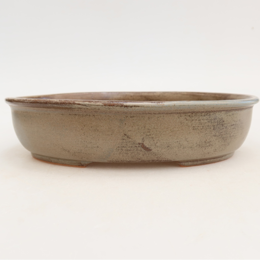 Vaso da bonsai in ceramica 22 x 17 x 5 cm, colore blu-marrone