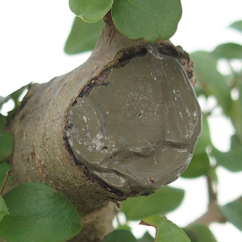 Balsamo LAC 1 kg + spatola