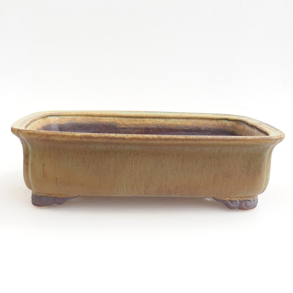 Ciotola per bonsai in ceramica 24,5 x 19 x 7 cm, verde