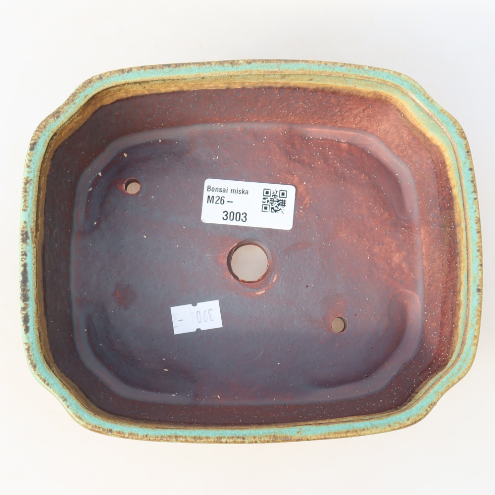 Ciotola per bonsai in ceramica 17,5 x 14,5 x 5 cm, verde
