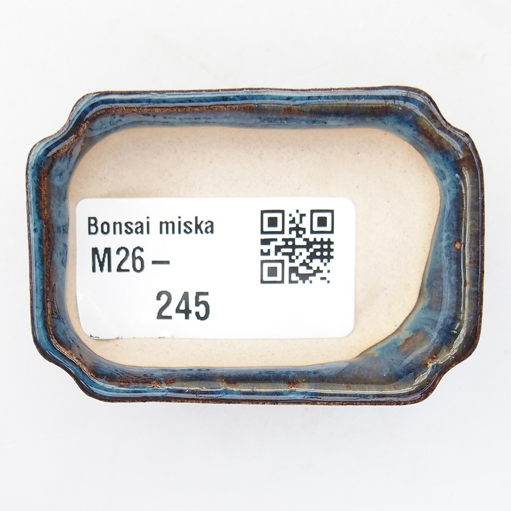 Mini bonsai 6 x 4 x 1,5 cm, colore blu