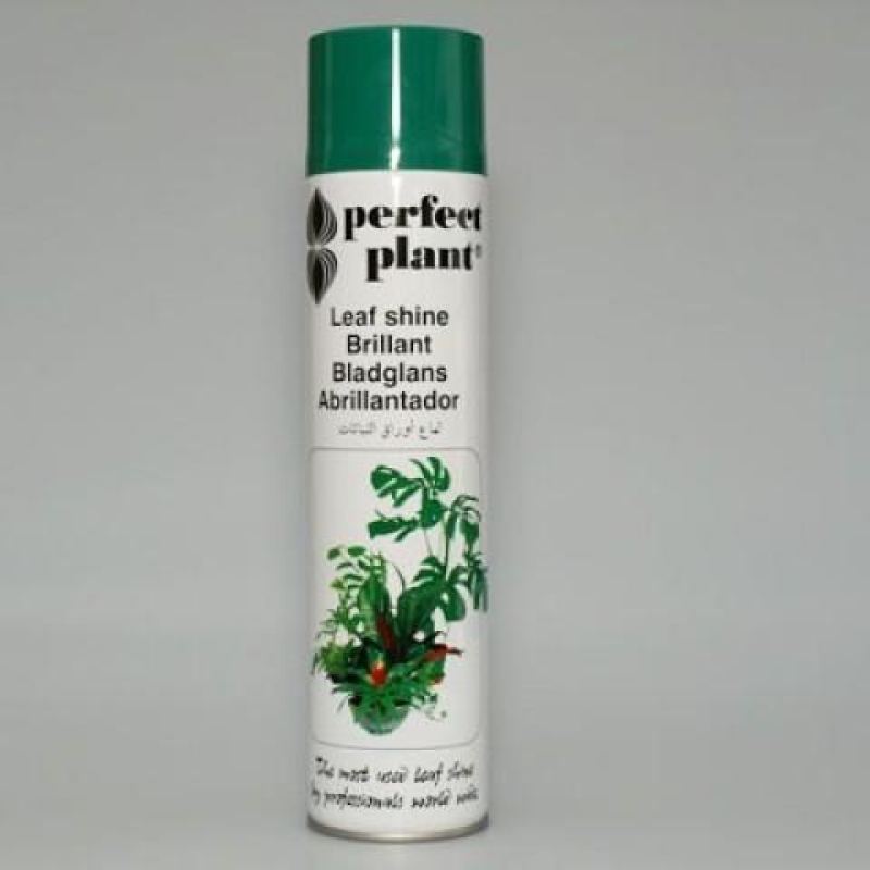 Lucentezza delle foglie 600 ml