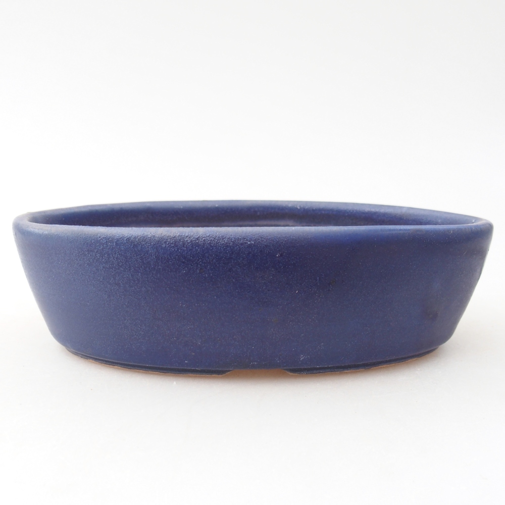 Ciotola per bonsai in ceramica 15 x 9,5 x 4 cm, colore blu