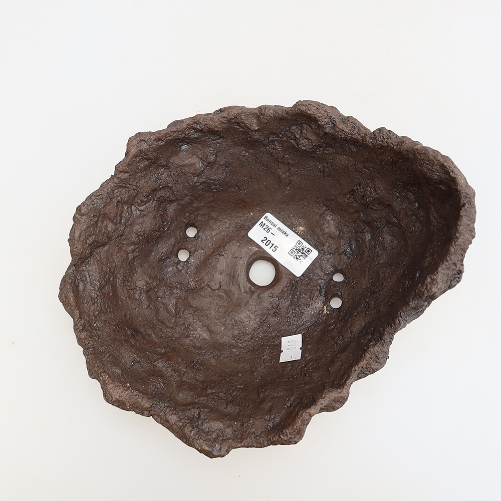 Conchiglia in ceramica 18,5 x 16,5 x 13 cm, colore marrone