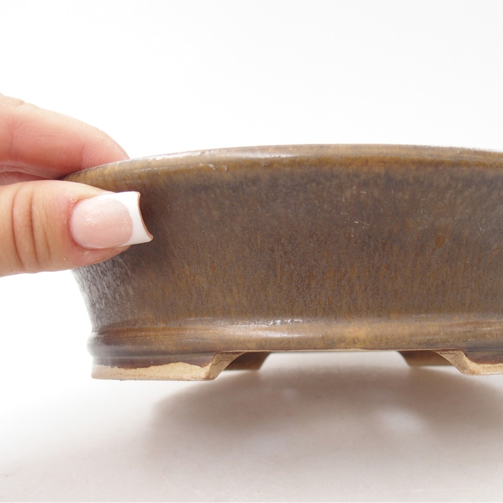 Ciotola per bonsai in ceramica 17,5 x 16 x 4,5 cm, marrone