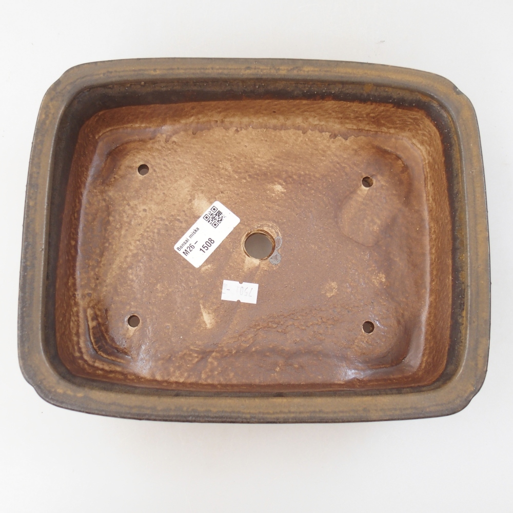 Ciotola per bonsai in ceramica 25 x 20 x 7 cm, marrone