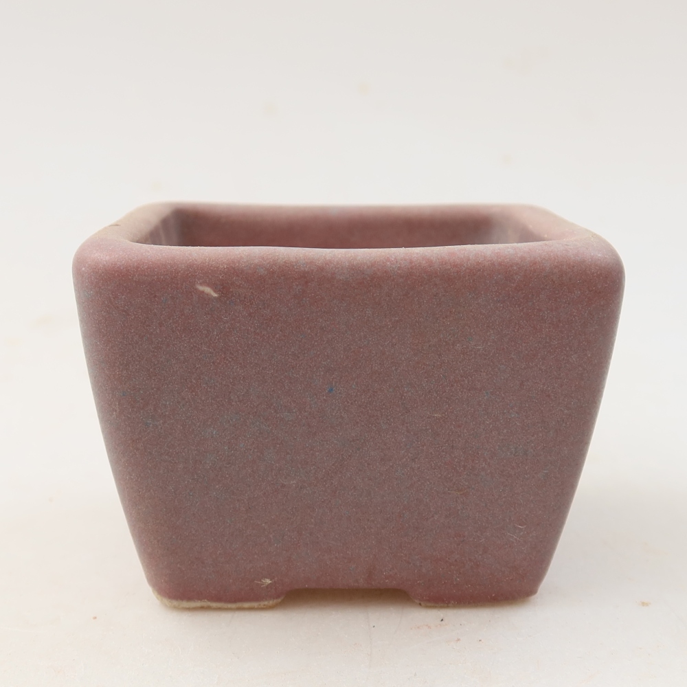 Ciotola per bonsai in ceramica 6,5 x 6,5 x 5 cm, colore viola