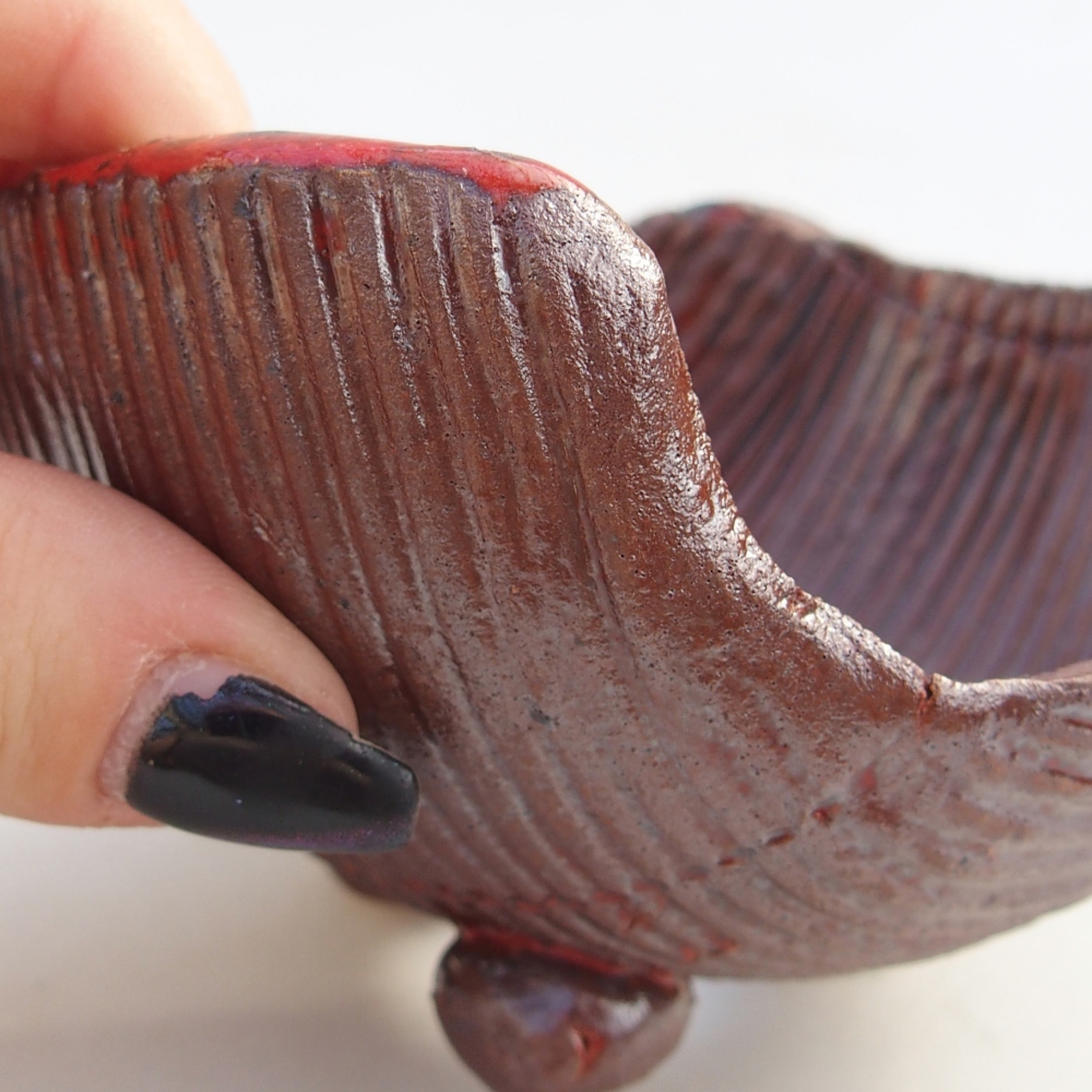 Conchiglia in ceramica 10 x 10 x 6 cm , colore marrone