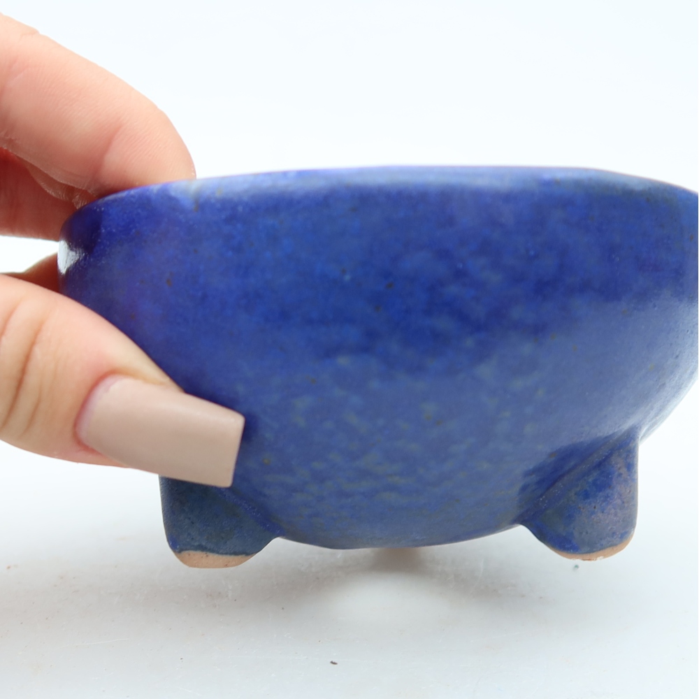 Vaso da bonsai in ceramica 10 x 10 x 5 cm, colore blu
