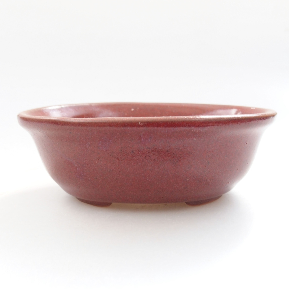 Ciotola bonsai in ceramica 22 x 17 x 5 cm, verde