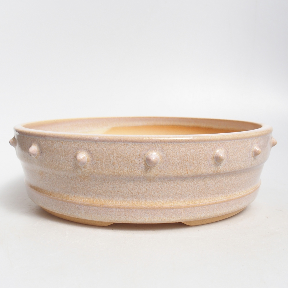 Ciotola bonsai in ceramica 22 x 22 x 6,5 cm, colore beige