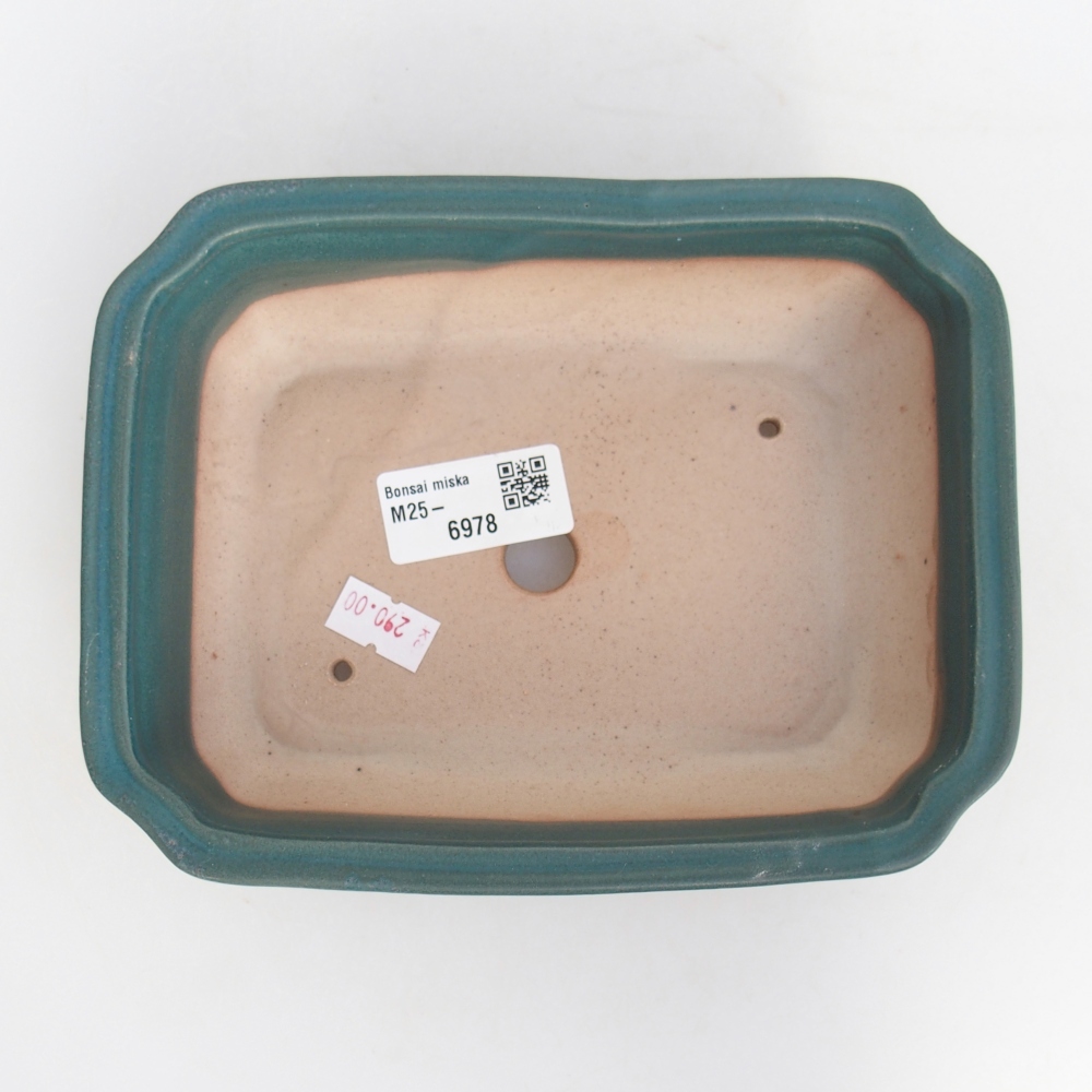 Ciotola bonsai in ceramica 26 x 26 x 8 cm, colore rosso