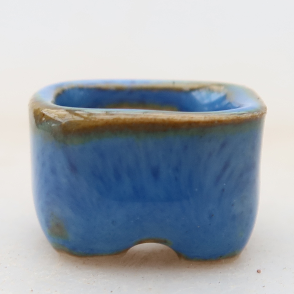 Vaso da bonsai in ceramica 2 x 2 x 1,5 cm, colore blu