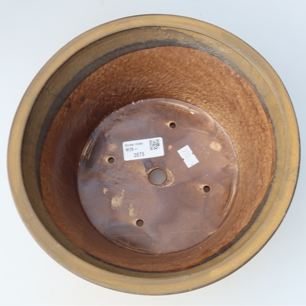 Vaso da bonsai in ceramica 24,5 x 24,5 x 11,5 cm, colore marrone