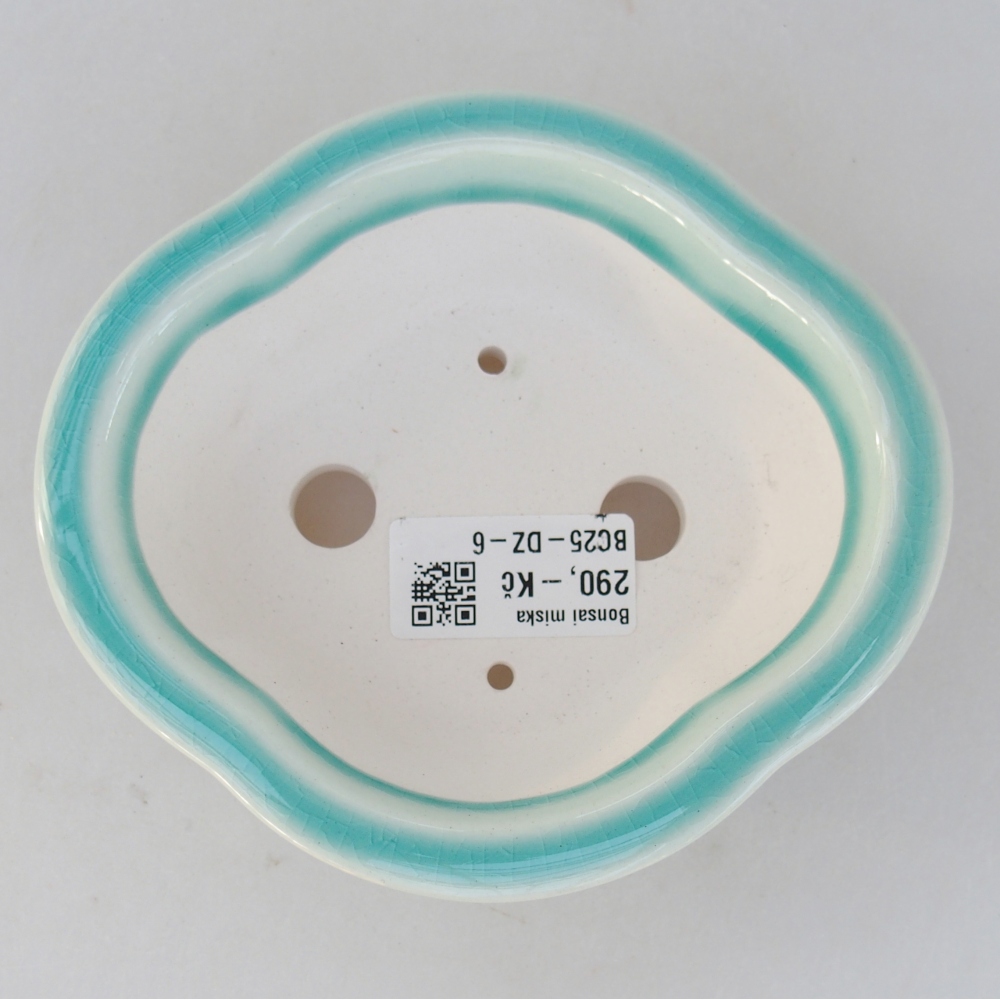 Ciotola bonsai in ceramica 13 x 12 x 5 cm, verde