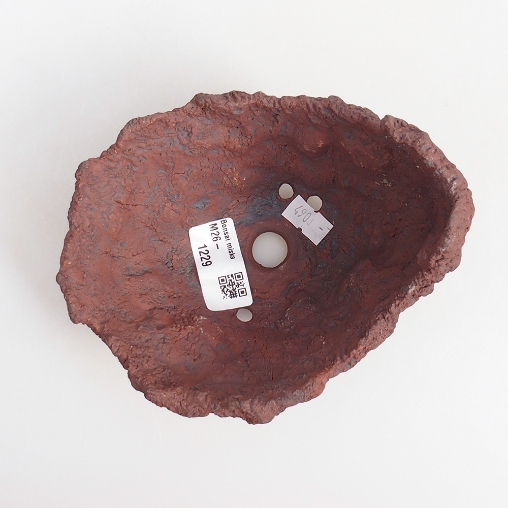 Conchiglia in ceramica 13 x 11,5 x 10,5 cm , colore marrone