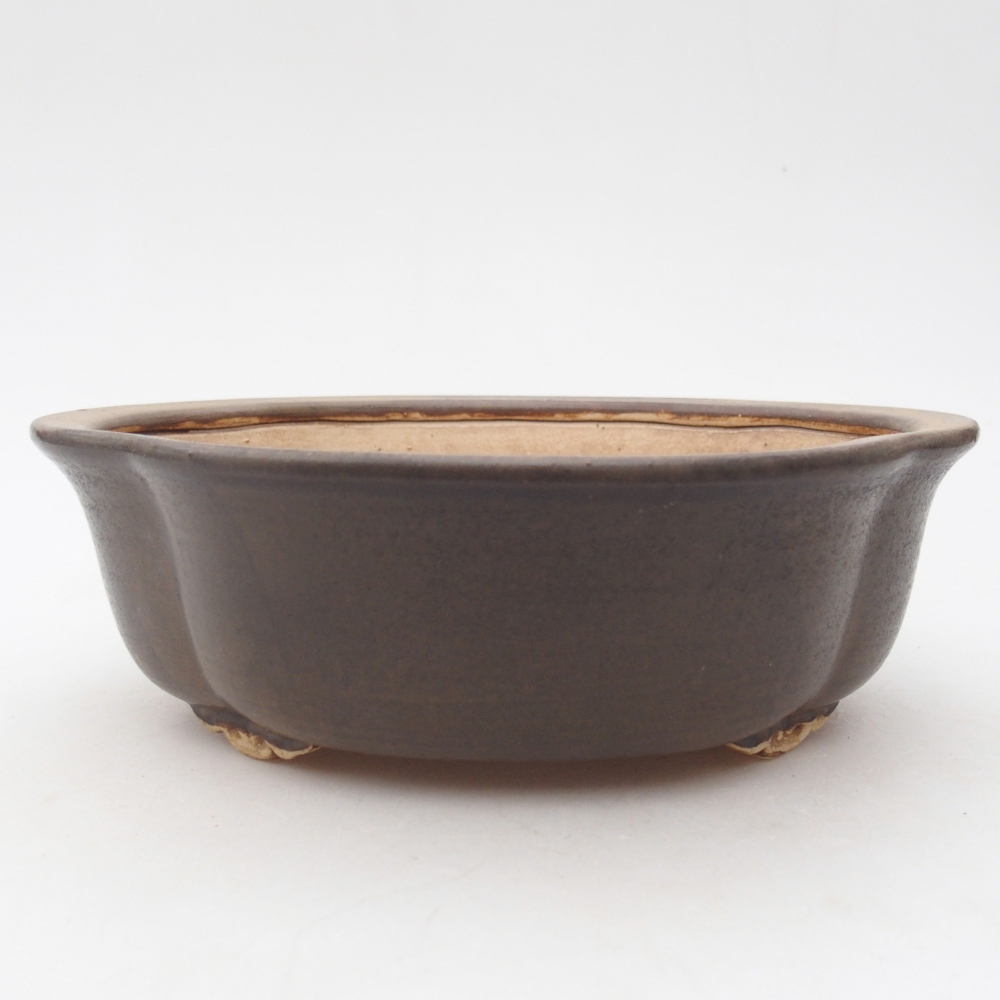 Ciotola per bonsai in ceramica 18,5 x 17 x 6 cm, marrone