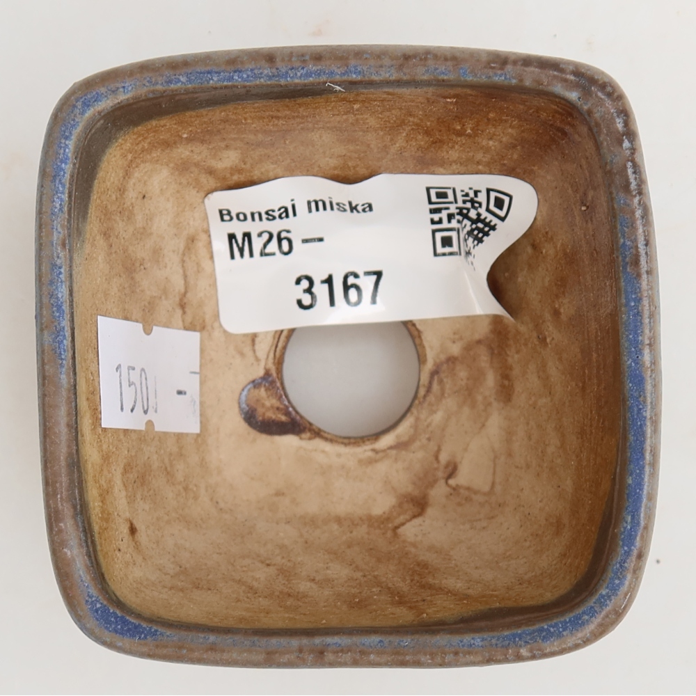 Vaso da bonsai in ceramica 6 x 6 x 4 cm, colore blu