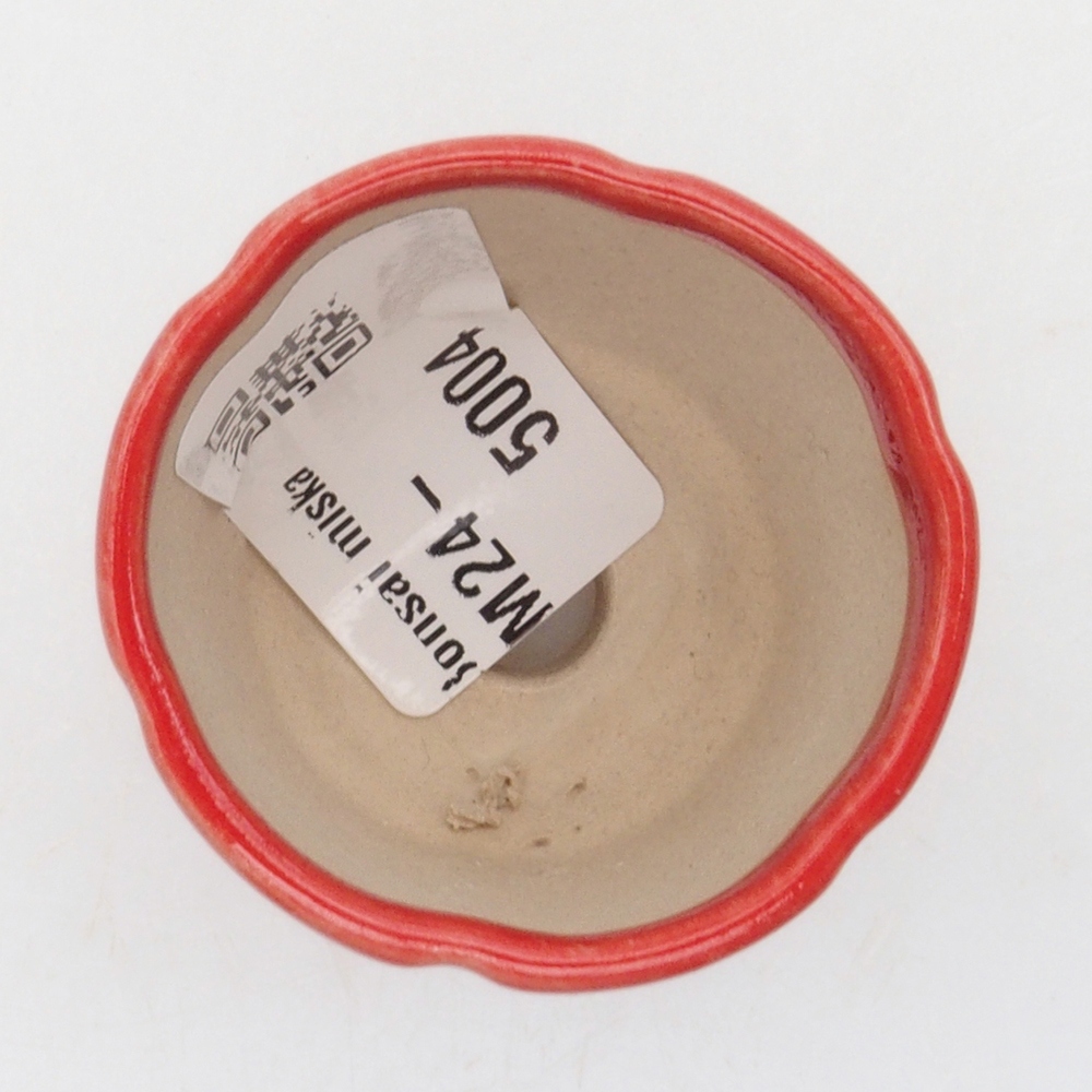 Mini bonsai 4 x 4 x 4 cm, colore rosso