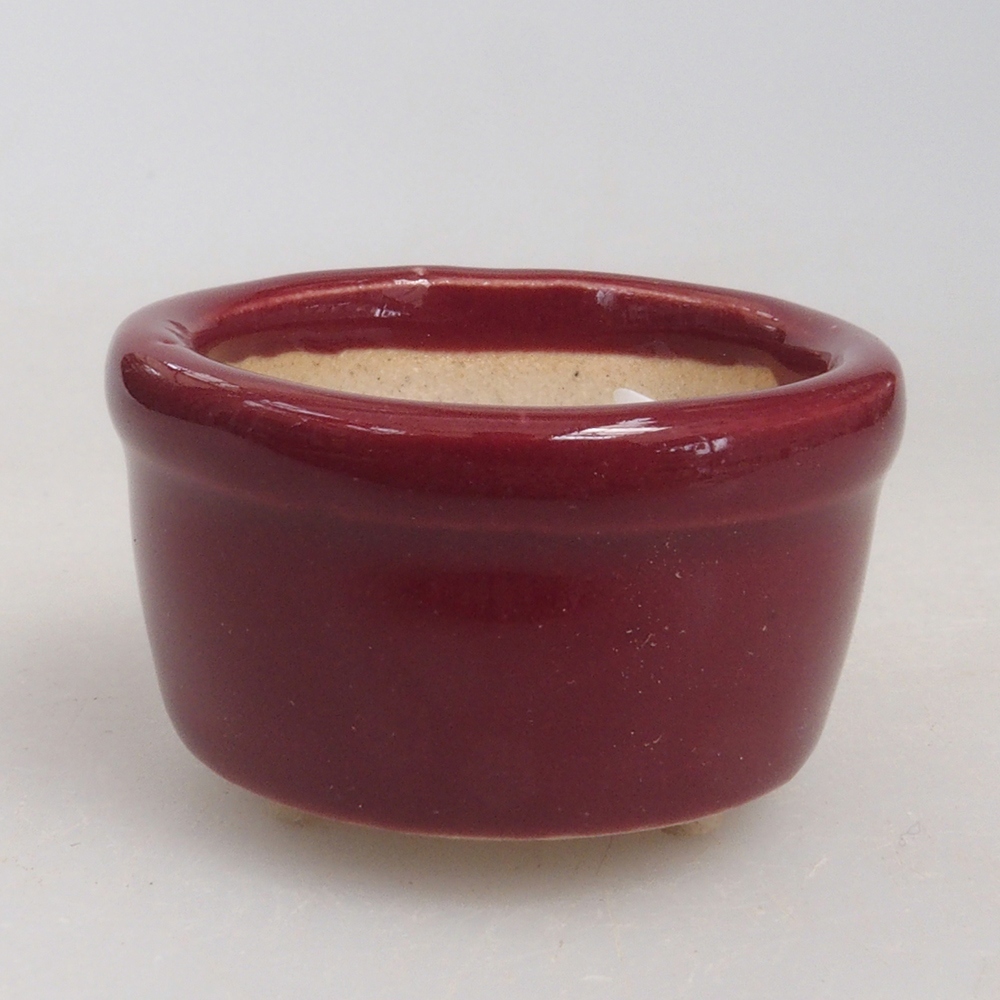 Ciotola per mini bonsai 3,5 x 3,5 x 2,5 cm, bordeaux