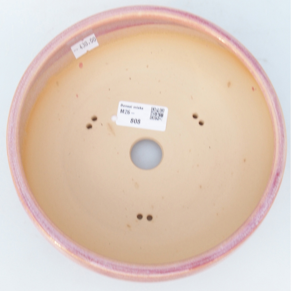 Ciotola bonsai in ceramica 18,5 x 18,5 x 7 cm, rosa